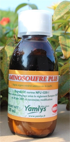 AMINOSOUFRE PLUS 125ML